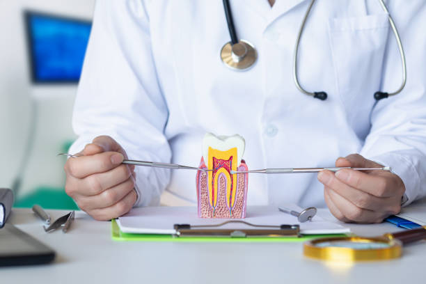 Best Urgent Dental Care for Toothache in Sunray, TX